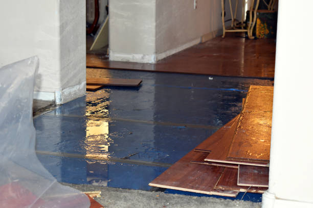 Professional Water Damage technician working in Luxemburg, WI